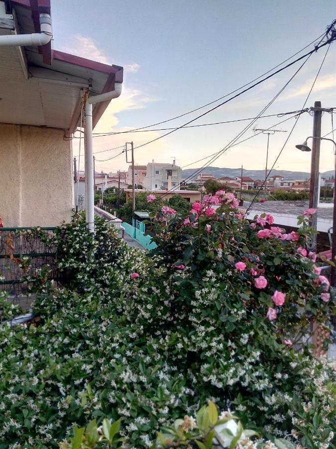 Апартаменты Cozy House 3 Врахати Экстерьер фото